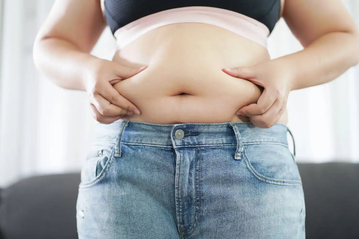 Does Creatine Help With Belly Fat Loss?