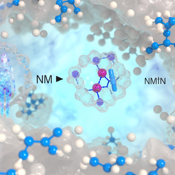 Best NMN resveratrol for women entering menopause: Balancing Hormones Naturally